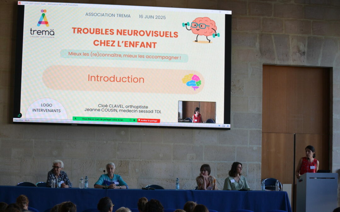 SESSAD 3D : Evènement sur les troubles neurovisuels chez l’enfant